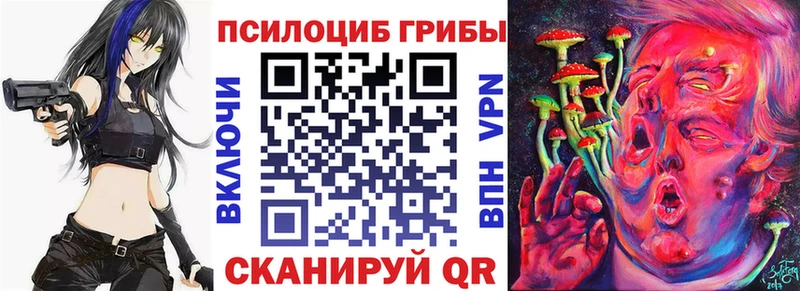 Псилоцибиновые грибы Psilocybe  цена   Новое Девяткино 
